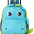 20 Best Trolley Backpacks in USA